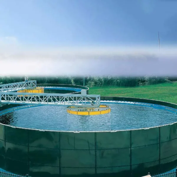 3000m³ vegetables waste biogas tank for producing biogas