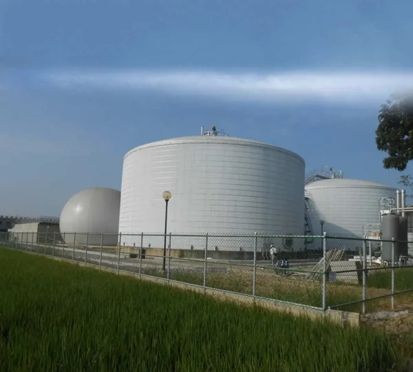 1500m³ cows'manure waste water processing biogas project - Image 6