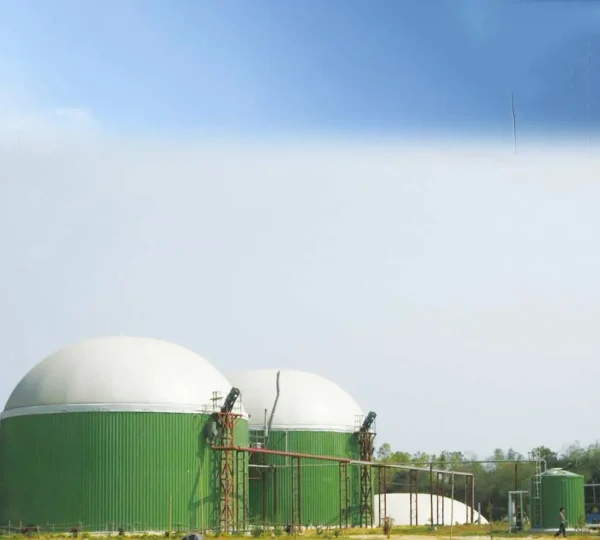 3000m³ vegetables waste biogas tank for producing biogas - Image 5
