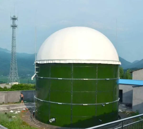 3000m³ vegetables waste biogas tank for producing biogas - Image 6
