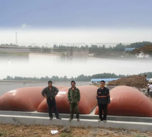 300m³ floating cover biogas project system - Image 3