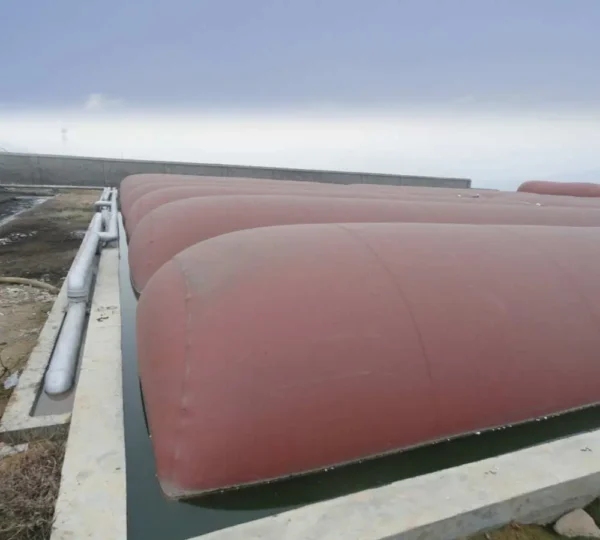 1400m³ floating cover biogas project