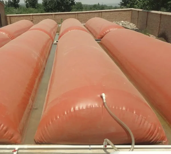 1200m³ floating cover biogas project system